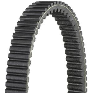 1048980-extreme-koppel-aandrijfsnaar-dayco-cf-800-terralander-zwart-nero-nero-tu