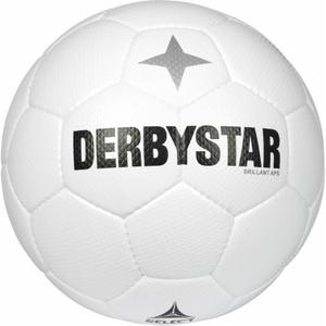 f17680-sportsbal-derbystar-aps-classic-wit-grootte-5