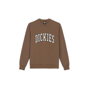 dk0a4xabj961-sweater-met-lange-mouwen-dickies-aitkin-paddenstoel-wolk