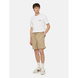 dk0a4xb2ds01-bermuda-dickies-pelican-rapids-woestijnzand
