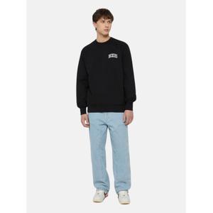 product/d/i/dickies_dk0a4ybgj391_3.jpg