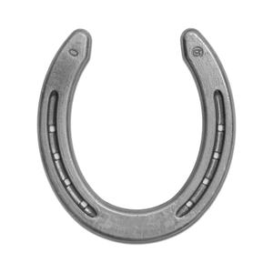 fe00040-posteriori-paardje-double-s-quarter-posteriori