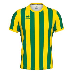 gm1b0c00920-koszulka-errea-strip-groen-geel