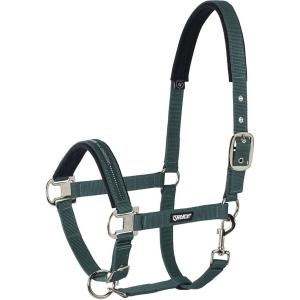 410000-816-590-halster-voor-paarden-eskadron-pin-buckle-racinggreen