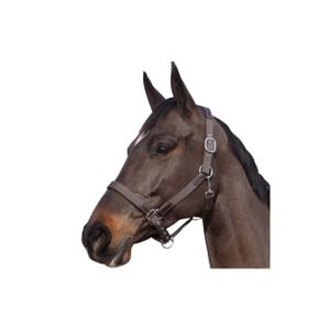 179501-marron-marron-nylon-leren-halster-flags-cup-kastanjebruin