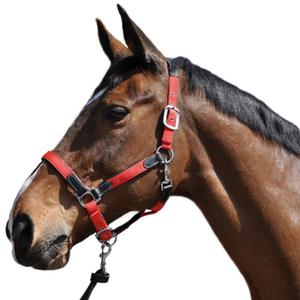 179501-noir-bordeaux-nylon-leren-halster-flags-cup-zwart-burgundy