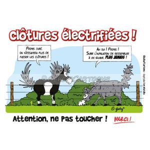 fr8plc004fr-humoristische-plaquette-voor-hekken-fr8man-groene-tu
