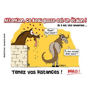 fr8plj009fr-humoristische-hartvormige-plaquette-fr8man-bruine-tu