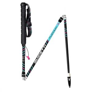 r205111-trail-stick-guidetti-platinium-aero-pulse-zwart-blauw