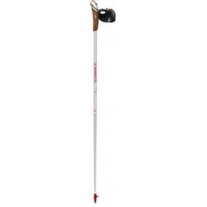 r30630-nordic-walking-stokken-guidetti-vdf-ut100-titanium-edition-grijs