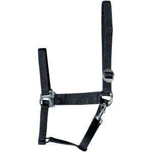 31000925-zwart-halster-voor-paarden-harry-s-horse-economy-zwart