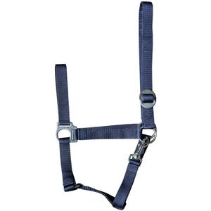 31000925-navy-halster-voor-paarden-harry-s-horse-economy-marine