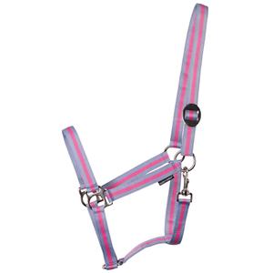 31000925-lichtblauw-roze-lichtblauw-halster-voor-paarden-harry-s-horse-economy-lichtblauw-roze-lichtblauw