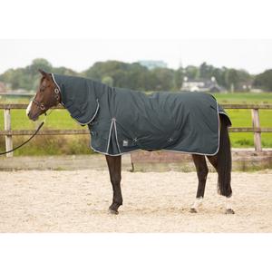 32204714-ebony-buitendeken-voor-paard-met-hals-harry-s-horse-thor-200-g-ebbenhout