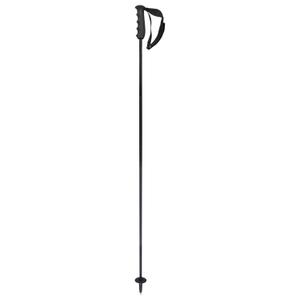 381784-skistokken-head-porsche-carbon-zwart-wit