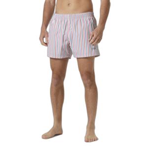 34296-601-zwemshort-helly-hansen-newport-trunk-washed-navy-multistripe-ao