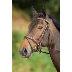 hfi1159br-rijhoofdstellen-hfi-comfort-bruin