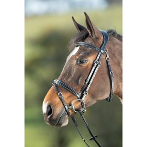 hfi003bk-rijhoofdstellen-hfi-functional-zwart