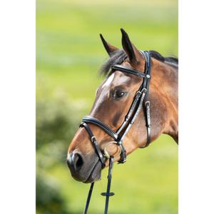 hfi013bk-rijhoofdstellen-hfi-technical-zwart