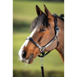 hfi1631bkco-lederen-halster-voor-paarden-hfi-two-tone-zwart-cognac