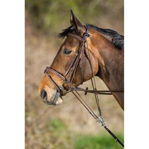 sam323br-gogue-voor-paarden-hfi-bruin
