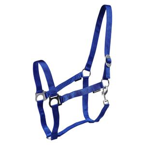 180185-55-paardenhalters-horka-drew-koningsblauw