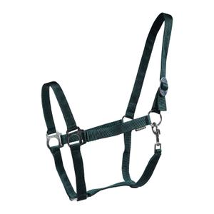 180185-7-paardenhalters-horka-drew-groene