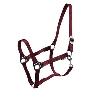 180185-9-paardenhalters-horka-drew-bordeaux