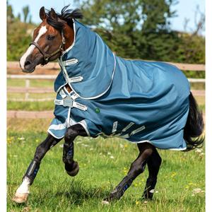 aaroj2-ctj0-buitendeken-met-halsbedekking-voor-paarden-horseware-amigo-ameco-100g-groenblauw-grijs