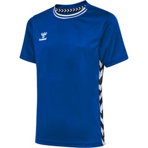 401439-7045-kinder-t-shirt-hummel-playful-echt-blauw