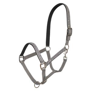 1601093600-7038-nylon-halster-voor-het-paard-hv-polo-nena-steen