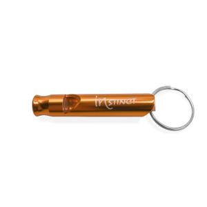 in-acc-w-aluminium-fluitje-instinct-goud-6x1-cm