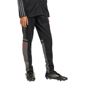 jd1628-trainingsbroek-voor-kinderen-adidas-squadra25-black-tegrfo-purrub