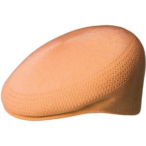 0290bc-pm803-baret-kangol-tropic-504-ventair-papaya-melk