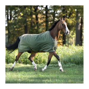 0467121252800-outdoor-paardendeken-kavalkade-montreal-100g-geen