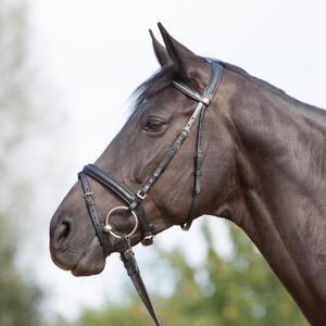 384-54415-384-51980-gecombineerd-hoofdstel-met-neusriem-kieffer-ultrasoftr-zwart-zwart-gevoerd