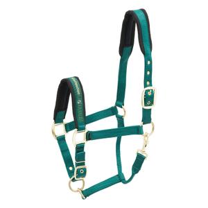 553-1541-nylon-paardenhalster-kieffer-collection-groene