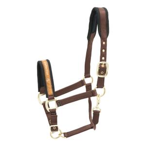 553-404-nylon-paardenhalster-kieffer-collection-donkerbruin