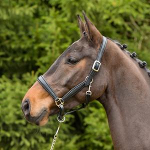 557-5198-leren-halster-voor-paarden-kieffer-ultrasoftr-zwart-zwart-gevoerd