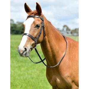 1025203001-jachtbit-met-teugels-kincade-classic-zwart