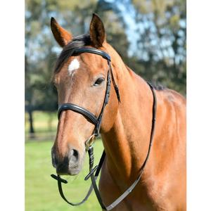 1025204001-cavecon-voor-paard-met-teugels-kincade-classic-zwart