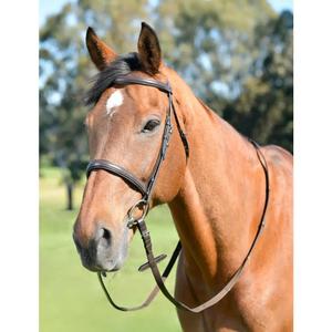 1025204005-cavecon-voor-paard-met-teugels-kincade-classic-bruin