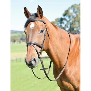 1025215005-paardenbril-voor-paard-met-teugels-kincade-classic-bruin