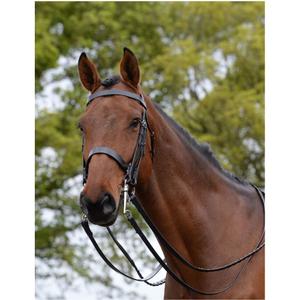 228351-hoofdstel-voor-paarden-kincade-weymouth-ii-zwart