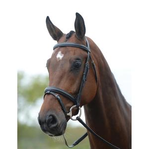 228373-hoofdstel-voor-paarden-kincade-flash-zwart