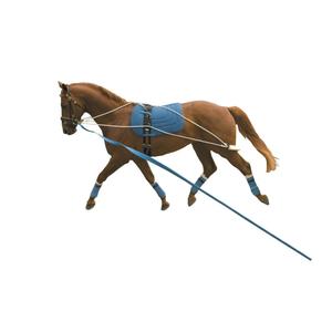 561500-surfplank-voor-paarden-kincade-wit-blauw-tu