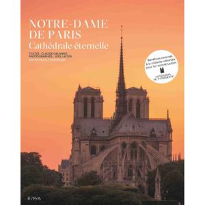 kb855booknotredamed-boek-notre-dame-van-parijs-kubbick-grijs-groen-28-63x2-74x34-65-cm