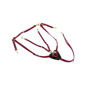 lk3036-burgundy-halsband-voor-paard-en-martingale-in-biothane-met-messing-gespen-lakota-bordeauxrood-tu