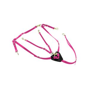 lk3036-pink-jachtcollier-voor-paard-van-biothane-met-martingale-lakota-roze-tu