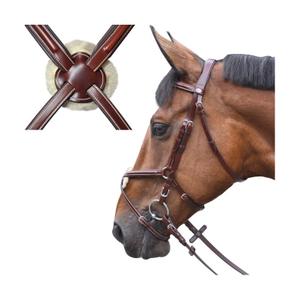 121142-camel-hoofdstellen-austin-crossbred-lexington-kameel